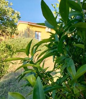 Senigallia House | Agriturismo I Ciliegi Appartamento Ginestra