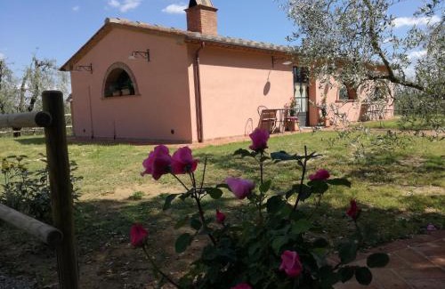 Palaia House | Agriturismo Il Loghino
