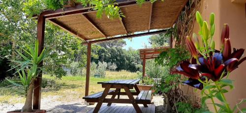 Donoratico House | Agriturismo La Gatta E L'Olivo