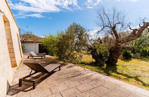 Casarano House | Agriturismo Oliveto Politi