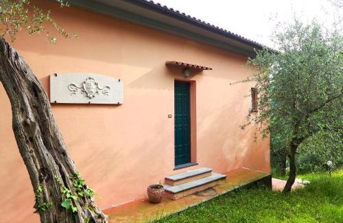 Vecchiano House | Agriturismo Poggio la Fioraia