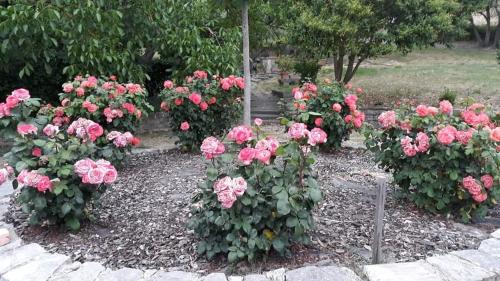 Todi House | Agriturismo Poponi