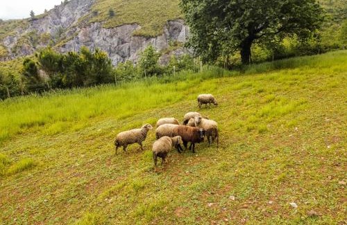 Aieta House | Agriturismo Terrerosse Di Massadita