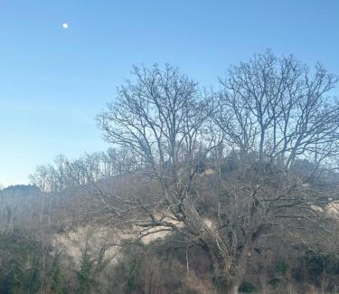 Vergelle House | Agriturismo Val di Tufo