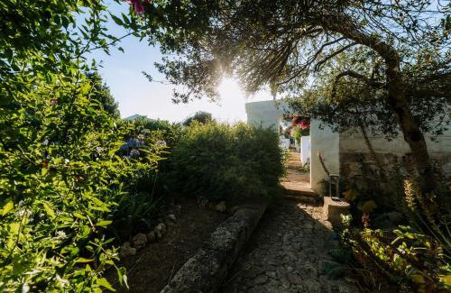 Alayor House | Agroturismo Rafal Rubí