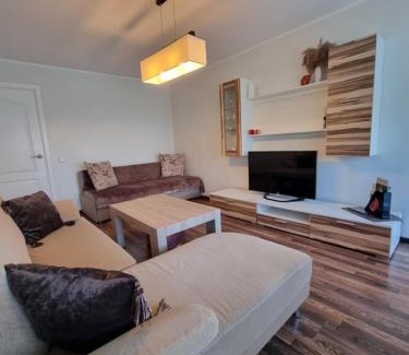 Druskininkai Apartment | Airida Forest Apartment