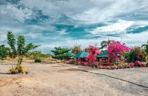 Vigan Hotel | Airport View Hotel