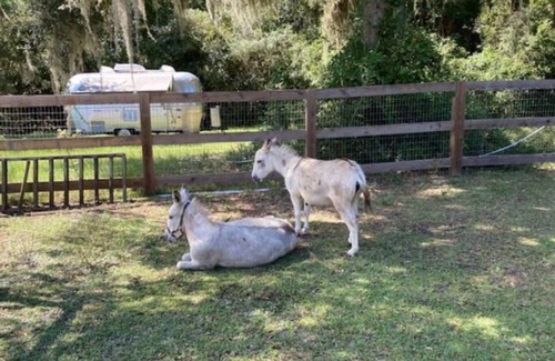 Yulee House | Airstream Trailer in Amelia Island Area