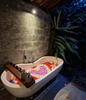 Melayang House | Aix Cottage Ubud