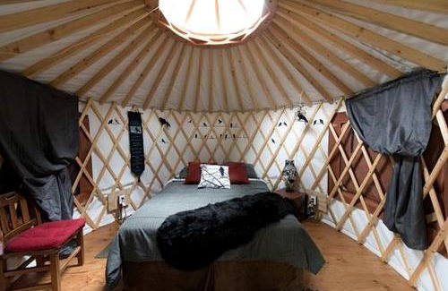 Bear Creek Other | Alaskan Glamping Yurt in Seward for an Eco-Adventure