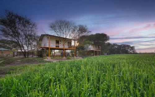Sawai Madhopur Hotel | Alaya Stays Bagh Serai, Ranthambore