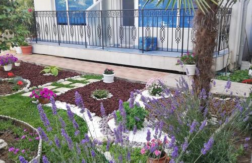 Kiten Hotel | Albatros 2 Family Hotel