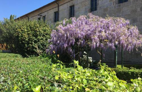 Tui Hostel | Albergue Convento Del Camino