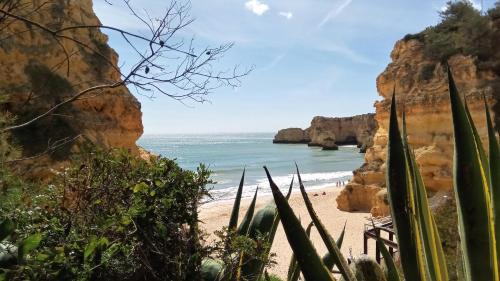 Vale de Parra Apartment | Albufeira Traditional Apartments IN VILLA