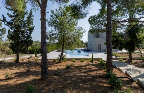 Kounopetra Apartment | Alekos Beach Houses-Akrotiri Suites