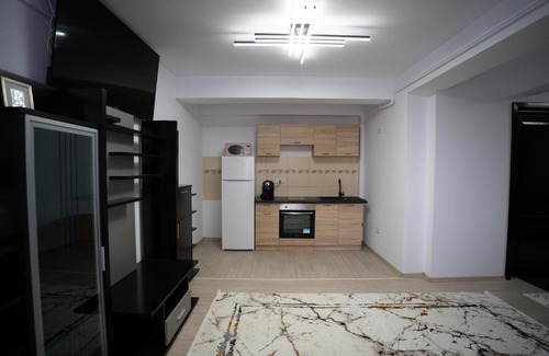 Nord-Est Apartment | Alex 1 Apartament