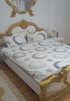 Satu Mare Apartment | Alex12