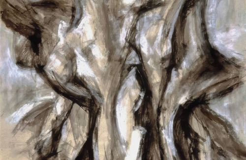 Quintero Cabin | Algodon 3M