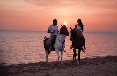 El Gouna Resort | Ali Pasha Hotel