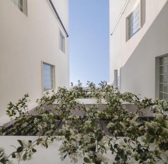 Old Town of Limassol Apartment | Alinea Urban Saripolou Square