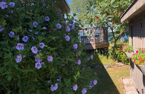 Georgian Bluffs Cottage | All season spectacular water view cottage overlooking Georgian Bay.