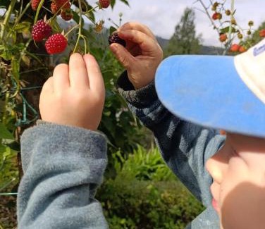 Guarne House | Alma Farm House