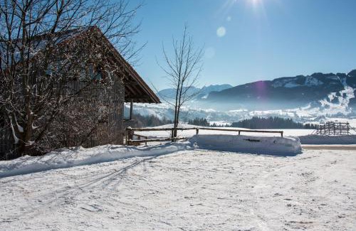 Oy-Mittelberg House | Almcafe Schnakenhöhe