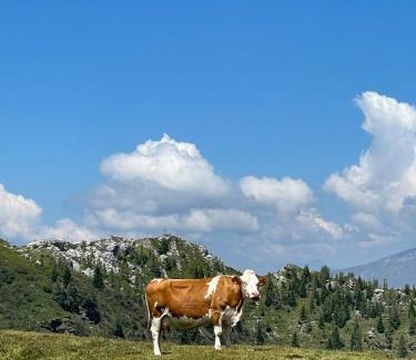Reichenau House | Almhütte Badstube