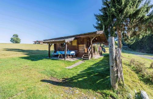 Hollersbach im Pinzgau Ski Chalet | Almliesl HOLL-361