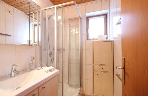 Viehhofen Apartment | Almliesl VIEH-715