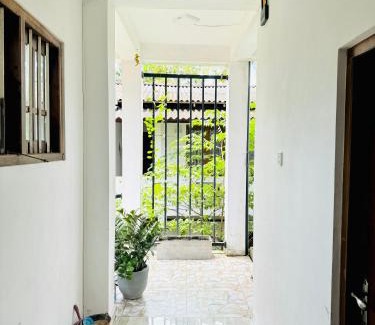Pelena Villa | Aloe villa