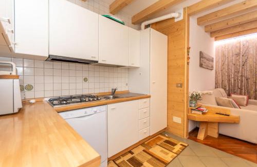 Pie Falcade Apartment | Alpe Verde