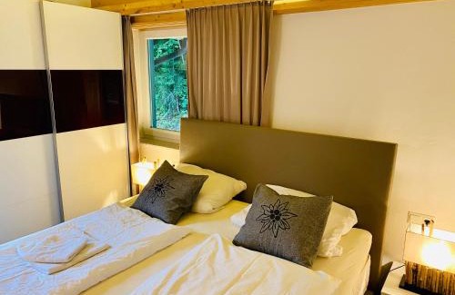 Scheffau am Wilden Kaiser Apartment | Alpensuite TOP 6 am Wilden Kaiser
