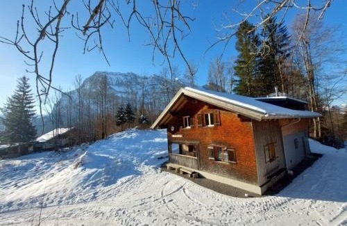 Schnepfau House | Alpenvereinshaus