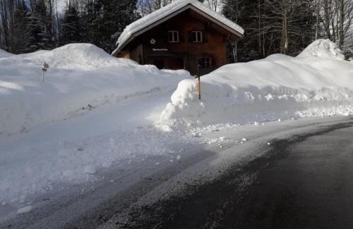 Schnepfau House | Alpenvereinshaus