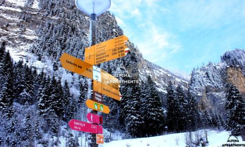 Blausee Apartment | Alpina Appartment Kandersteg
