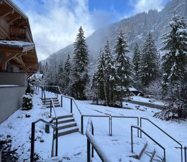 Morzine Ski Chalet | Alpine Creek - Luxury Ski-in Avoriaz Morzine