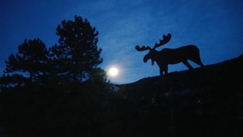 Lake City Hotel | Alpine Moose Lodge