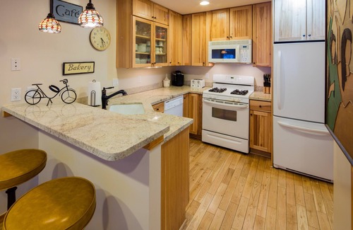 Snowmass Village Condo | Alpine Retreat-Best Pricing Available-Ski-in/Ski-Out Access