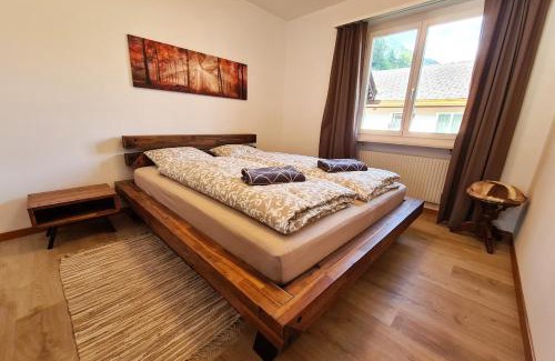 Disentis Apartment | Alpine Retreat & Sauna