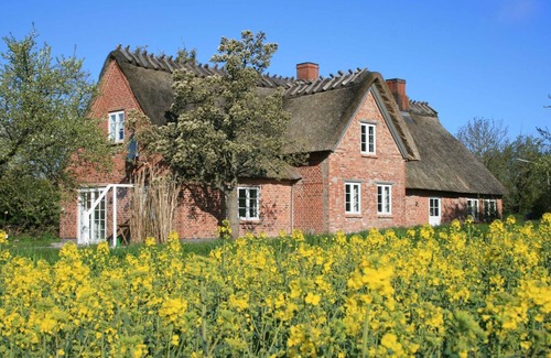 Stenderup House | Altes Schusterhus - Ferienhaus Altes Schusterhus