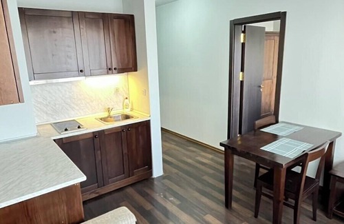 Shiligarnika Apartment | Altitude Mountain Apartments Aspen