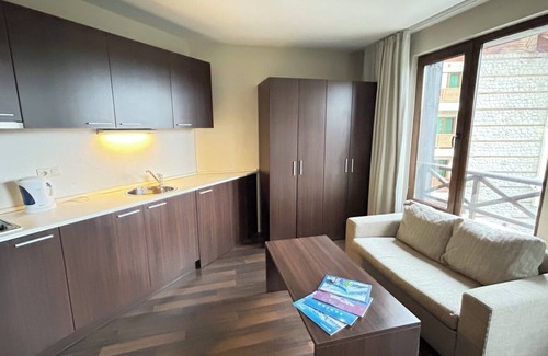 Shiligarnika Apartment | Altitude Mountain Apartments Aspen