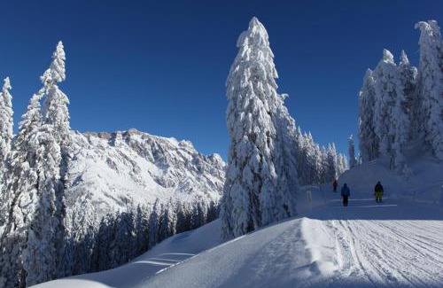 Maria Alm am Steinernen Meer Apartment | Am Berg 34