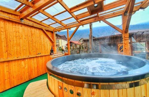 Sinaia House | Amandra Chalet