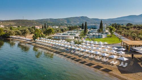 Eretria Hotel | Amaronda Resort & Spa Eretria