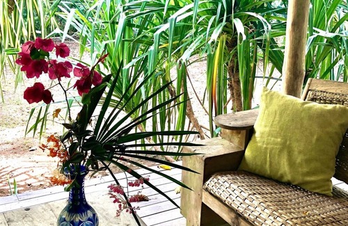 Buenos Aires House | Amazing Jungle House near Beach with Pool