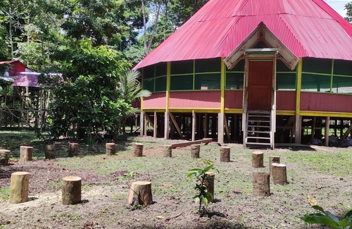 Iquitos House | Amazon Nativo Lodge Tour and Excursion in the amazon jungle, Iquitos, Peru
