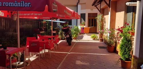 Fagaras House | Amelia House