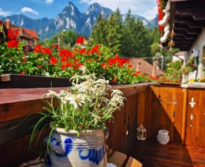 Busteni Apartment | Amor Tirol Bușteni